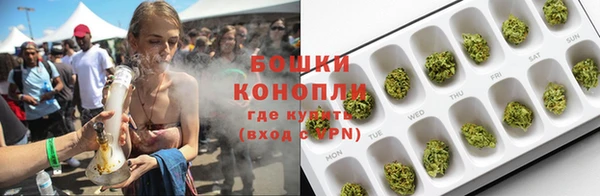 сатива Аркадак