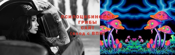 сатива Аркадак