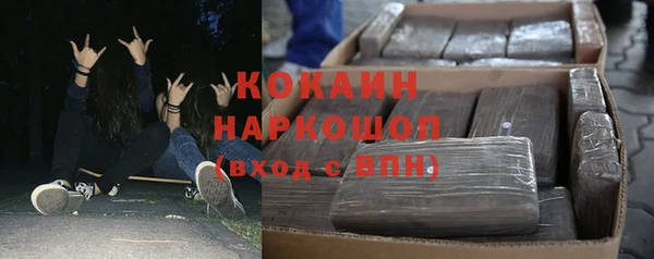 сатива Аркадак