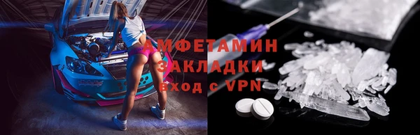 сатива Аркадак