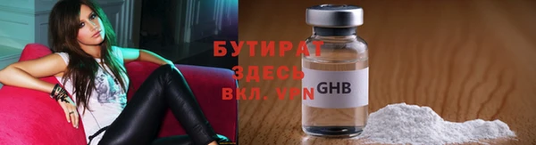 сатива Аркадак