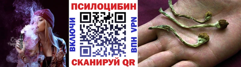 Псилоцибиновые грибы мухоморы  Талица 