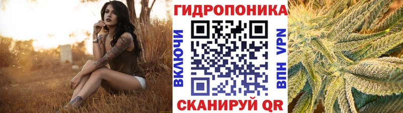 Марихуана Amnesia купить наркоту ссылка на мегу зеркало Талица